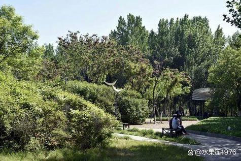 秦皇岛植物园与森林公园哪个好