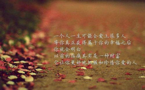 美文欣赏及感悟