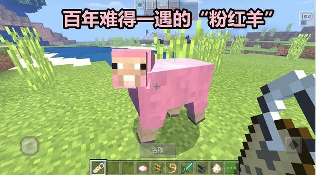 我的世界粉色染料怎么获得图标