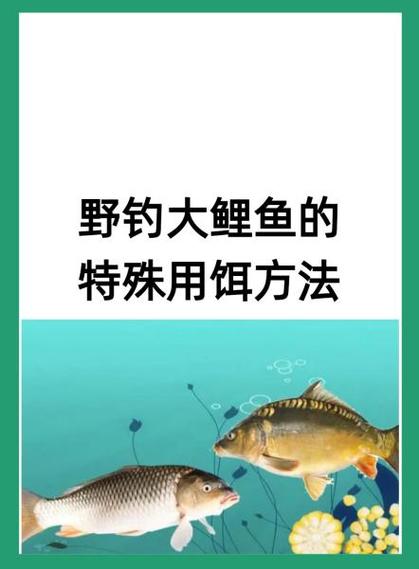 鲤鱼的洗脑口诀