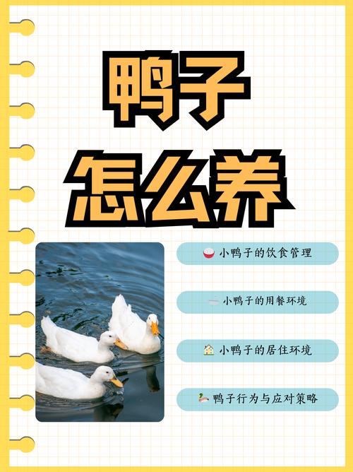趣养鸭有没有提现成功的