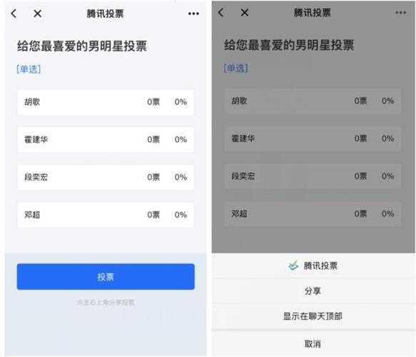 投票平台 投票网 比投缩略图