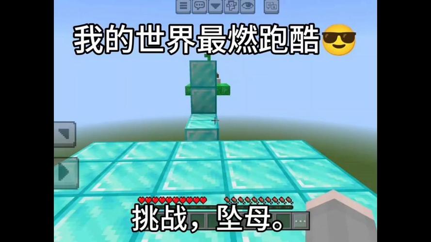 我的世界坠母猎人游戏