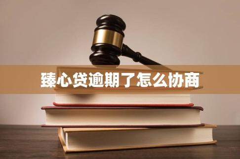臻心贷不给协商怎么办