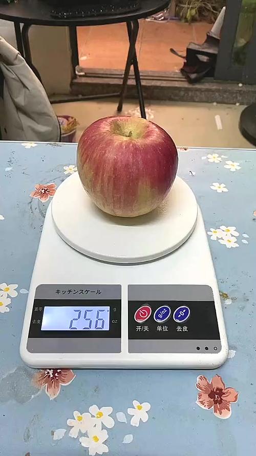苹果256g可以放多少照片