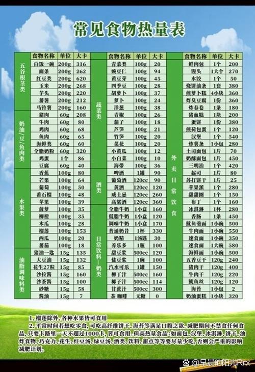 食品热量一览表游戏截图