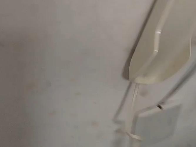 收潲水的电话