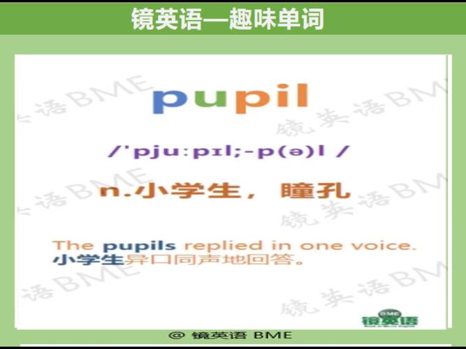 pup讠l翻译