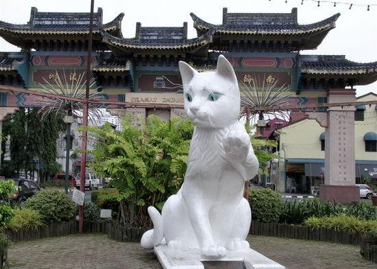 中国猫城