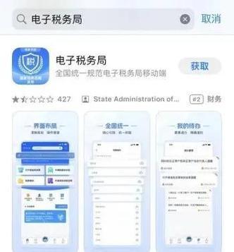 四川税务手机app游戏截图