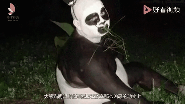 熊猫的尾巴有黑色的吗图标