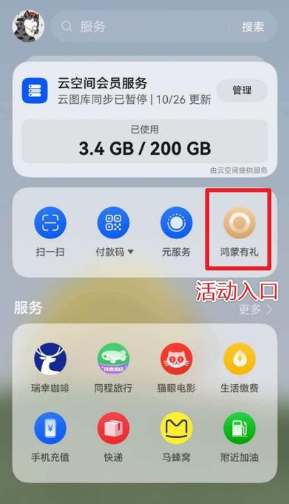 华为主题vip