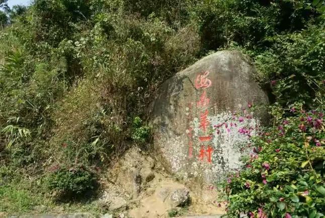 山间有点甜怎么赚钱