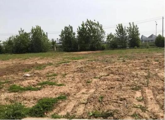 今后农村空地怎样处理
