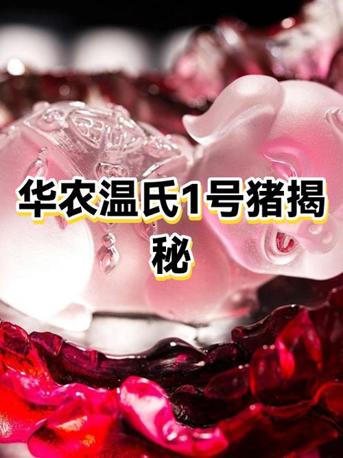 温氏集团拍猪的返利政策
