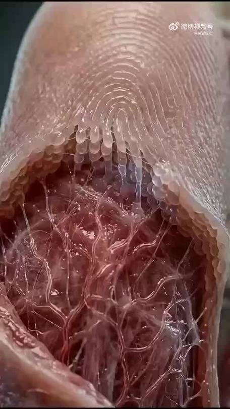 指纹发烫无法使用指纹
