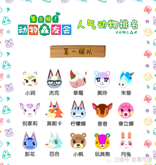动森小动物大全