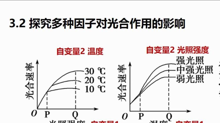 光的强度与能量的关系