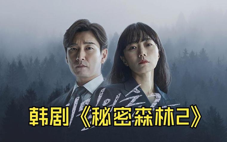 秘密森林百度网盘