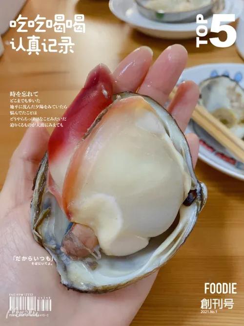 主喜欢什么样的贝