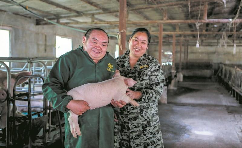 养猪达人真的能赚钱吗