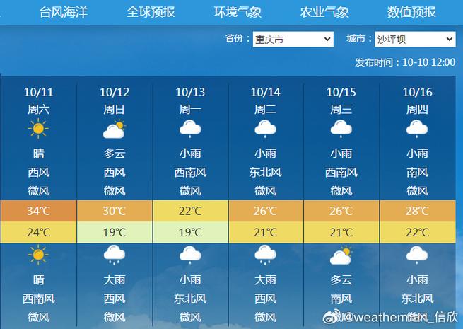 重庆2020年天气记录