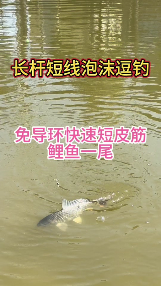 泡沫逗钓线组搭配