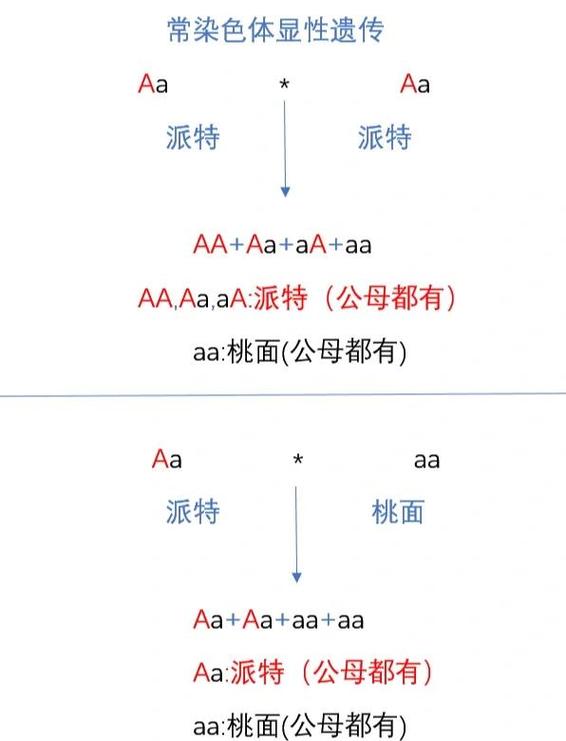 基因是什么意思