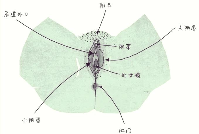 小米手机上的孔有什么用