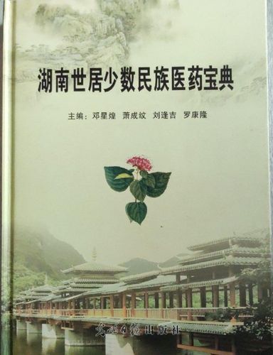 少数民族的10大待遇