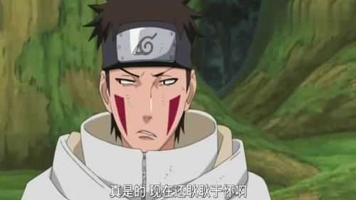 木叶万年下忍