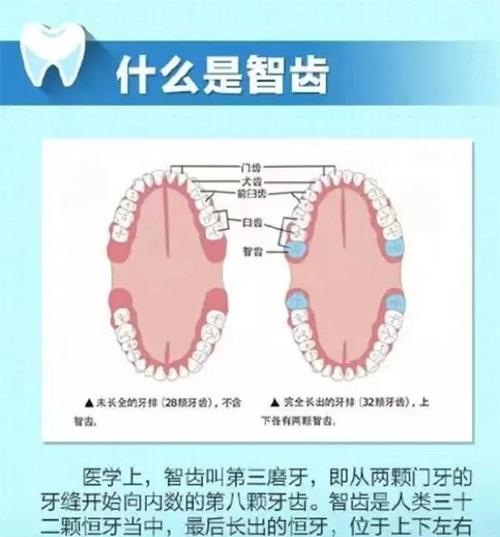 智齿的危害