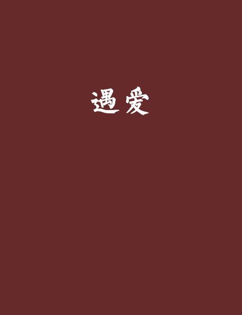 遇见爱小说