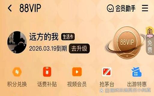 88vip会员优酷怎么领取缩略图