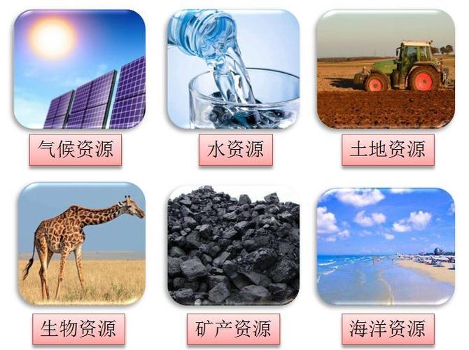 如月真绫资源