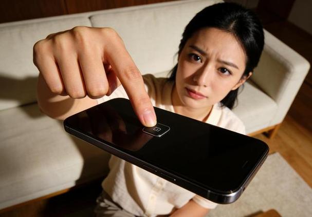 手机屏显示像一只眼是啥