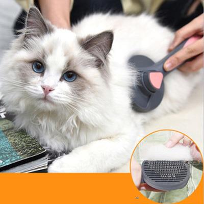 小猫世界APP的邀请码