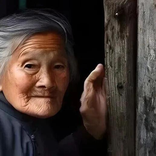 你家没了下载