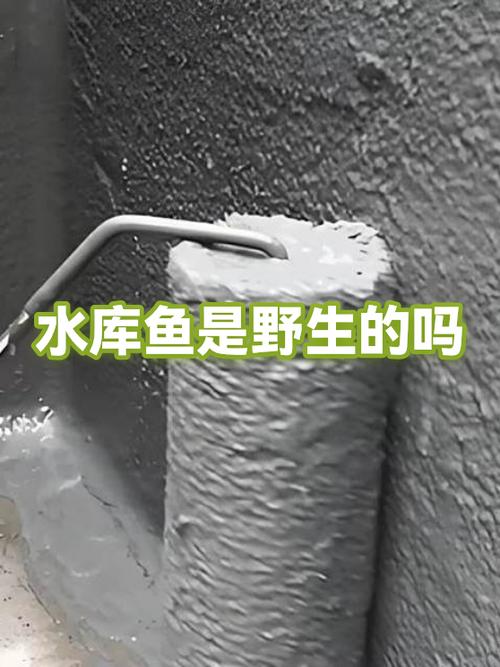 我的世界鱼为什么挤在一起