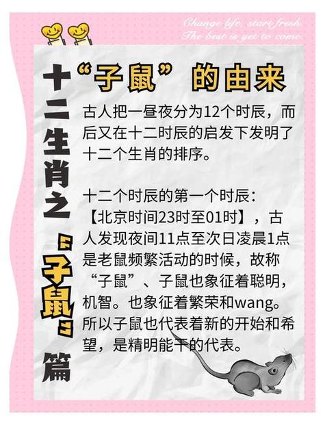鼠边三大生肖