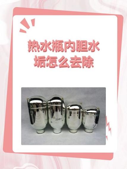 怎么清除热水瓶内胆里的水垢
