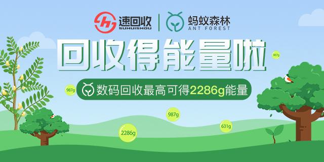 蚂蚁森林能量都是24小时才能收吗截图
