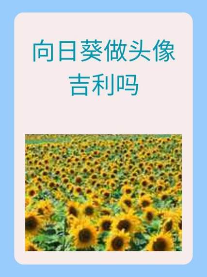 葵花的性格特征