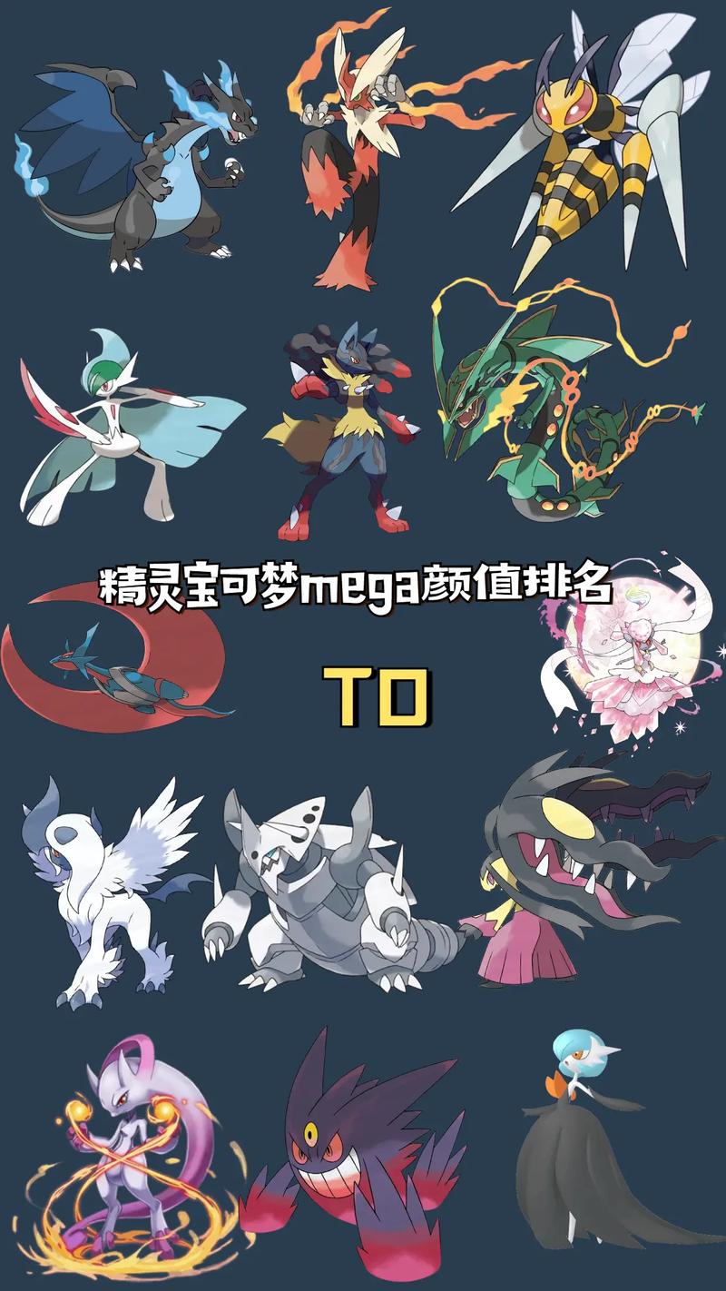 口袋进化