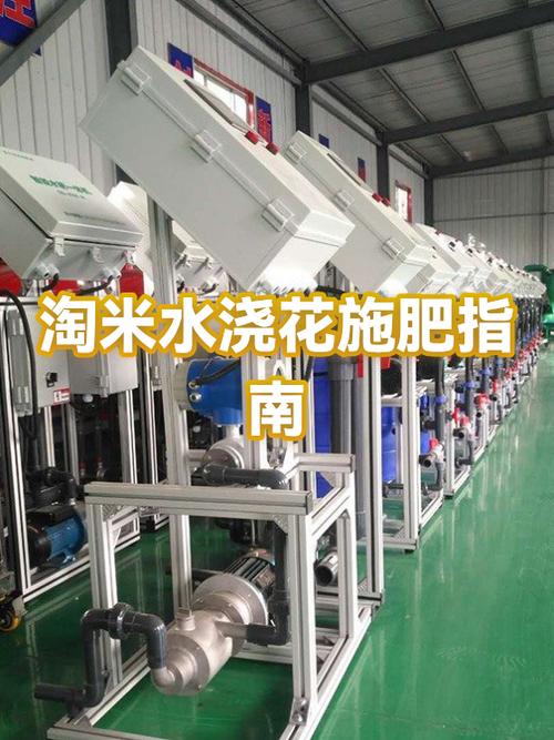 淘米应该淘几次