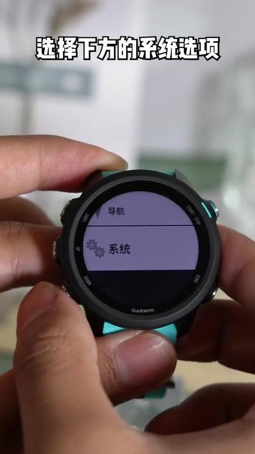 佳明怎么设置抬腕亮屏游戏截图