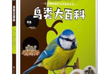 释槐鸟和红嘴蓝鹊是一种鸟吗截图