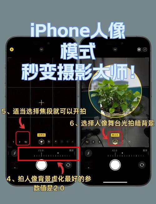 苹果手机人像模式不能放大