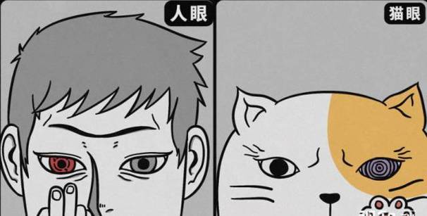 看猫眼外面的人知道吗