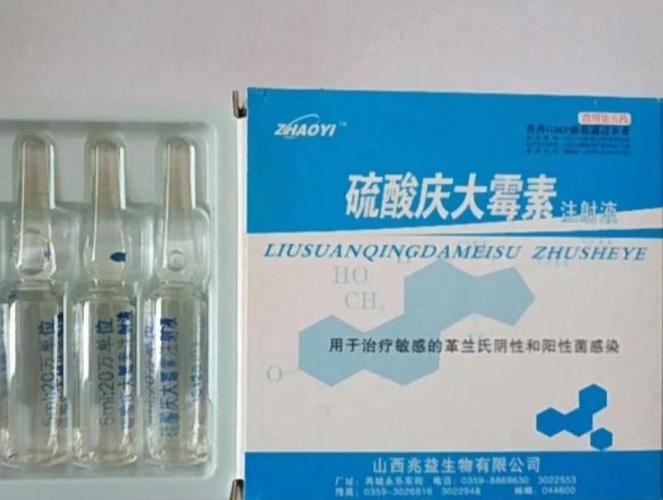 犬细小必备三样药